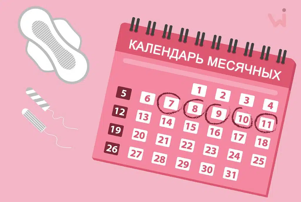 Календарь месячных: контроль менструации и овуляции онлайн
