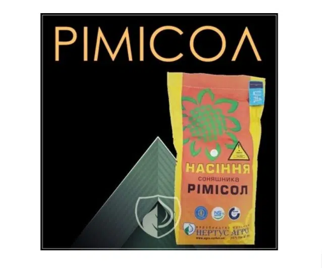 Гибрид подсолнечника: где можно купить недорого?
