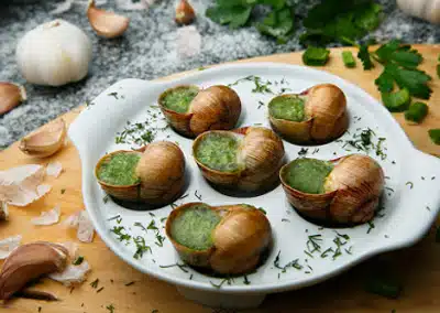 Улитки эскарго: где можно купить оптом?