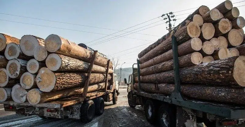 Білорусь погрожує Литві заборонити експорт лісу