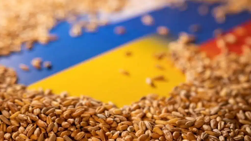 Туреччина затримала російське судно з викраденим українським зерном