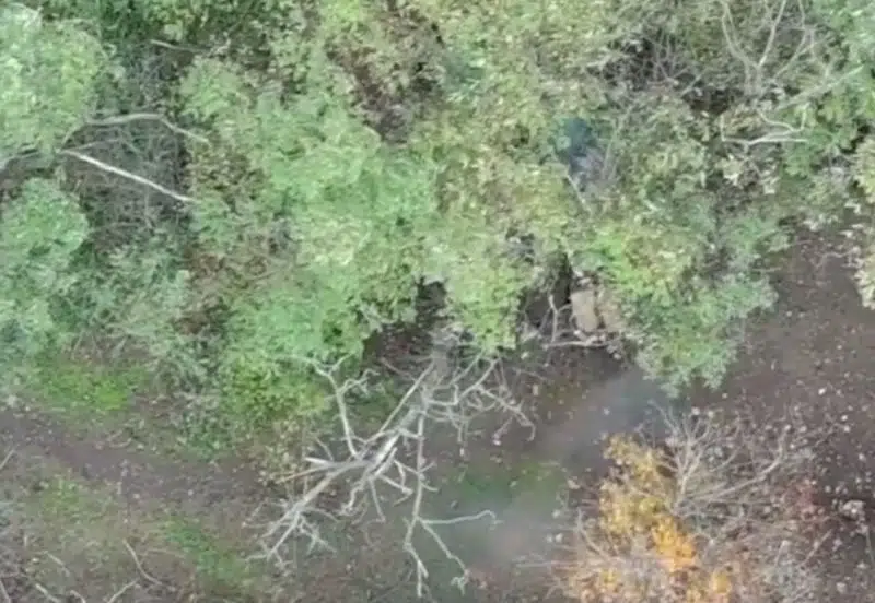 Військові ЗСУ знищили польовий склад БК окупантів