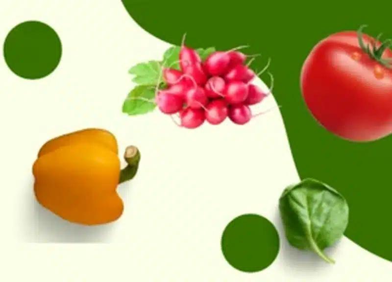 Насіння рослин: у якому інтернет-магазині купити якісну продукцію?