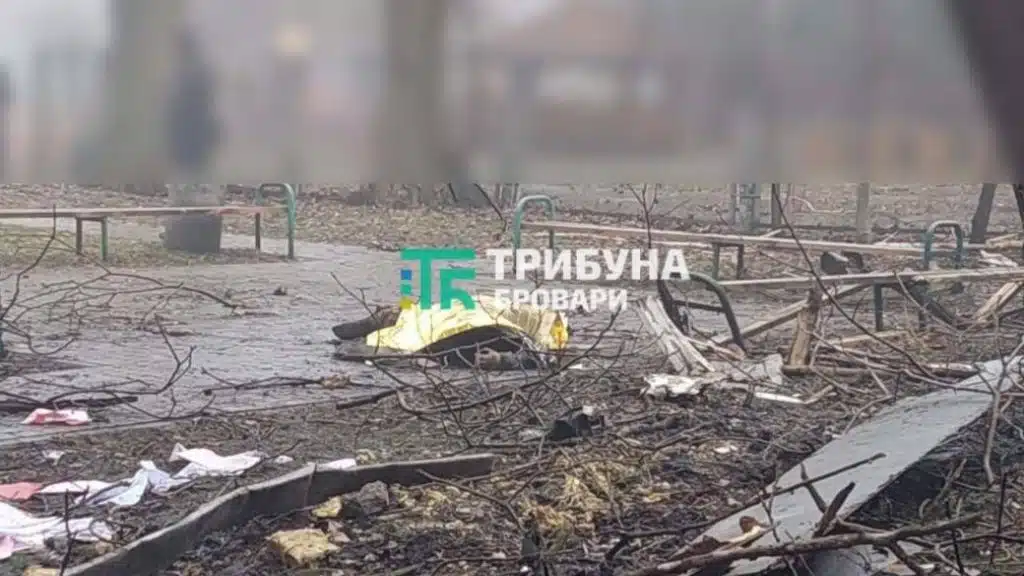 Внаслідок авіакатастрофи в Броварах загинули глава МВС та його перший заступник