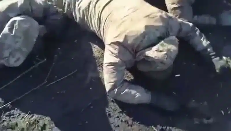Воїни ЗСУ захопили у полон групу російських окупантів