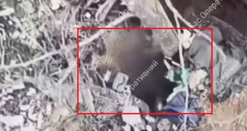 Бойовий безпілотник знищив російського загарбника у бліндажі