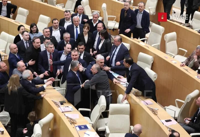 В грузинському парламенті під час сесії сталася бійка
