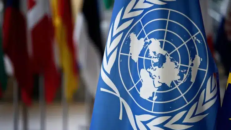 Туреччина розкритикувала ООН і закликала її реформувати